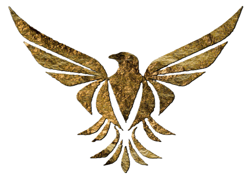 nesr logo